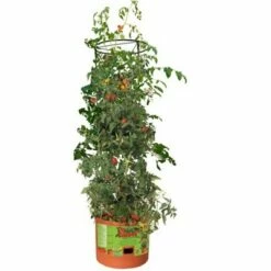 Hydrofarm GCTB Tomato Barrel Pot Garden Planting 4 Foot Trellis System (2 Pack)