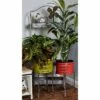Olivia & May 55" Rustic Iron 4-Tiered Rectangular Garden Rack Gray - Olivia & May -Cheap Planters Store unnamed file 5641