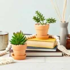 Juvale 12 Pack Small Clay Terracotta Pots with Saucers for Succulents, Flowers (2.7 x 2.5 In)