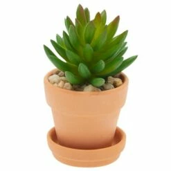 Juvale 12 Pack Small Clay Terracotta Pots with Saucers for Succulents, Flowers (2.7 x 2.5 In) -Cheap Planters Store unnamed file 5649