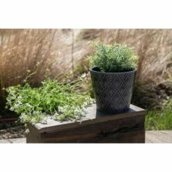 Blue Diamond Burst Pattern Glazed Ceramic Planter - Foreside Home & Garden 8 Blue Diamond Burst Pattern Glazed Ceramic Planter - Foreside Home & Garden -Cheap Planters Store unnamed file 5702