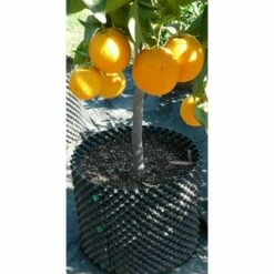 Air-Pod Superoots Air-Pot THAP7 5.6 Gallon Propagation Pot Planter Container, 3 Pack 9 Air-Pod Superoots Air-Pot THAP7 5.6 Gallon Propagation Pot Planter Container, 3 Pack -Cheap Planters Store unnamed file 5730