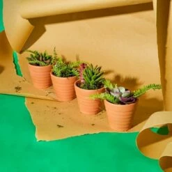 Juvale 10 Pack Terra Cotta Clay Pots, Small Plant Pots, Planters for Succulents & Cactus, 2.6 x 2.6 x 2.5"