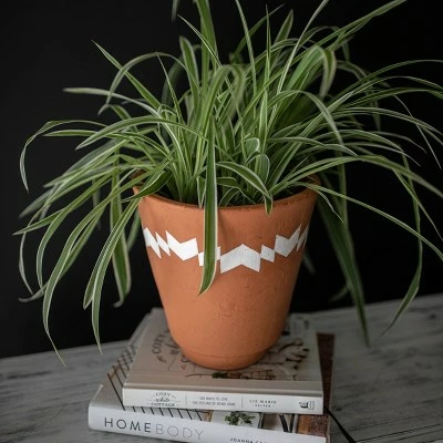 Multi Terracotta Planter - Foreside Home & Garden 5 Multi Terracotta Planter - Foreside Home & Garden - Image 4