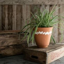 Multi Terracotta Planter - Foreside Home & Garden 12 Multi Terracotta Planter - Foreside Home & Garden -Cheap Planters Store unnamed file 5810
