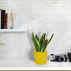 Unique Bargains Home Garden Plastic Petal Shaped Plant Planter Holder Flower Planters -Cheap Planters Store unnamed file 5821