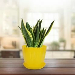 Unique Bargains Home Garden Plastic Petal Shaped Plant Planter Holder Flower Planters -Cheap Planters Store unnamed file 5823