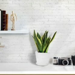 Unique Bargains Home Balcony Office Plastic Round Flower Holder Plant Planters White 19cm Dia 1 Pc -Cheap Planters Store unnamed file 5834