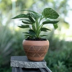 Terracotta Terracotta Planter - Foreside Home & Garden -Cheap Planters Store unnamed file 5966