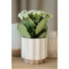 Loma White Planter - Shiraleah -Cheap Planters Store unnamed file 5975