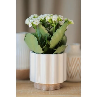 Loma White Planter - Shiraleah 2 Loma White Planter - Shiraleah