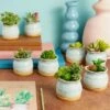Okuna Outpost 8 Pack Small Ceramic Succulent Pots for Cactus Plants with Bamboo Trays, 2.3 in -Cheap Planters Store unnamed file 5978