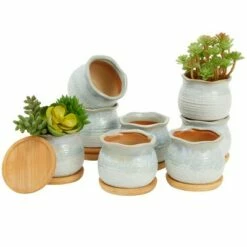 Okuna Outpost 8 Pack Small Ceramic Succulent Pots for Cactus Plants with Bamboo Trays, 2.3 in -Cheap Planters Store unnamed file 5979