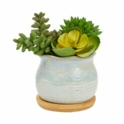 Okuna Outpost 8 Pack Small Ceramic Succulent Pots for Cactus Plants with Bamboo Trays, 2.3 in -Cheap Planters Store unnamed file 5980