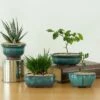 Gardenised Decorative Mini Glazed Ceramic Bonsai Succulent Pots Flower Planter with Drainage Holes, 4 Pack