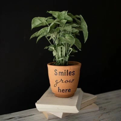 "Smiles Grow Here" Multi Terracotta Planter - Foreside Home & Garden 6 "Smiles Grow Here" Multi Terracotta Planter - Foreside Home & Garden - Image 4