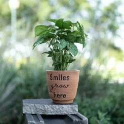 "Smiles Grow Here" Multi Terracotta Planter - Foreside Home & Garden 14 "Smiles Grow Here" Multi Terracotta Planter - Foreside Home & Garden -Cheap Planters Store unnamed file 6029