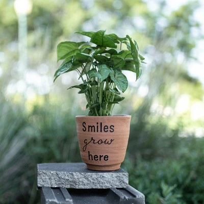 "Smiles Grow Here" Multi Terracotta Planter - Foreside Home & Garden 8 "Smiles Grow Here" Multi Terracotta Planter - Foreside Home & Garden - Image 6