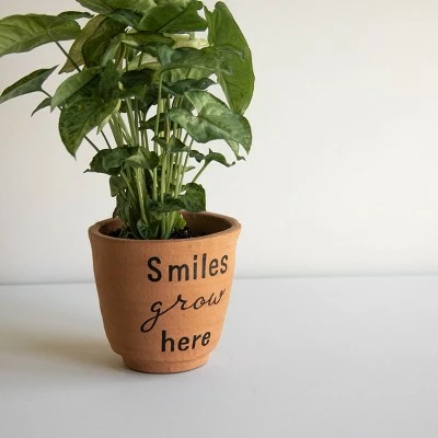 "Smiles Grow Here" Multi Terracotta Planter - Foreside Home & Garden 9 "Smiles Grow Here" Multi Terracotta Planter - Foreside Home & Garden - Image 7