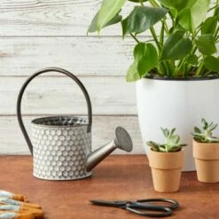 Okuna Outpost Galvanized Metal Watering Can Vase for Indoor Outdoor Plant, Succulents (4.5 x 8.5 in) -Cheap Planters Store unnamed file 6032