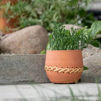 Terracotta & Cane Weave Planter - Foreside Home & Garden 6 Terracotta & Cane Weave Planter - Foreside Home & Garden - Image 4