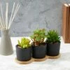 Farmlyn Creek 4 Piece Set Round Black Cement Planter Indoor Outdoor with Modern Wood Base, 8.8 x 3.15 x 2.67 in -Cheap Planters Store unnamed file 6099