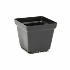 Okuna Outpost 100 Pack Plastic Nursery Pots, Small Square Seed Starter Planter Indoor Outdoor, 3.3 in Black -Cheap Planters Store unnamed file 6121