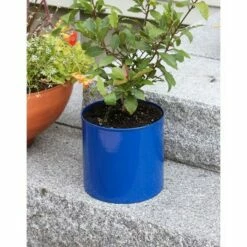 7"H Cylinder Planter Pot French Blue Galvanized Steel - ACHLA Designs -Cheap Planters Store unnamed file 6125