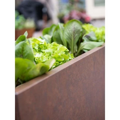 Better Metal Patio Planter Box - Birdies Garden Products 4 Better Metal Patio Planter Box - Birdies Garden Products - Image 2