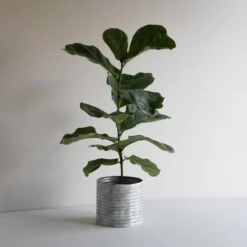 White Metal Planter - Foreside Home & Garden -Cheap Planters Store unnamed file 6191