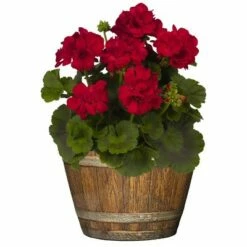 Set of 5 Whiskey Barrel Planter - Classic Home and Garden Kentucky Walnut