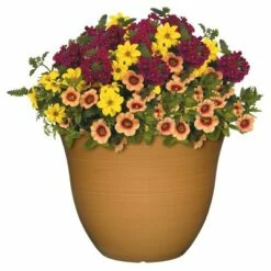 Set of 2 Honeysuckle Patio Pot Planter - Classic Home and Garden Fossil