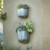 2pc Wall Mounted Planter Set Galvanized Metal - Danya B.