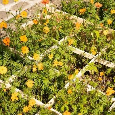 Outsunny 4ft x 4ft Backyard Patio Wooden Raised Garden Bed Planter Box with Segmented Growing Grid for Plants & Herbs - Natural Wood 8 Outsunny 4ft x 4ft Backyard Patio Wooden Raised Garden Bed Planter Box with Segmented Growing Grid for Plants & Herbs - Natural Wood - Image 6