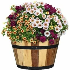 Set of 3 Acacia Wood Barrel Planters - Classic Home and Garden 16 Set of 3 Acacia Wood Barrel Planters - Classic Home and Garden -Cheap Planters Store unnamed file 6438