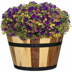 Set of 3 Acacia Wood Barrel Planters - Classic Home and Garden 17 Set of 3 Acacia Wood Barrel Planters - Classic Home and Garden -Cheap Planters Store unnamed file 6439