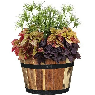 Set of 3 Acacia Wood Barrel Planters - Classic Home and Garden 8 Set of 3 Acacia Wood Barrel Planters - Classic Home and Garden - Image 6