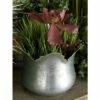 Olivia & May Set of 3 Farmhouse Petal- Edge Iron Novelty Planters - Olivia & May 2 Olivia & May Set of 3 Farmhouse Petal- Edge Iron Novelty Planters - Olivia & May -Cheap Planters Store unnamed file 6568