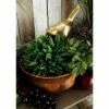 Olivia & May Set of 4 Traditional Flared Iron Planters Copper - Olivia & May 2 Olivia & May Set of 4 Traditional Flared Iron Planters Copper - Olivia & May -Cheap Planters Store unnamed file 6571