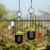 2pc Hanging Wall Planter Set Black Iron - Danya B. -Cheap Planters Store unnamed file 6648