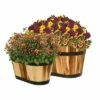Set of 2 Acacia Oval Barrel Planters - Classic Home and Garden -Cheap Planters Store unnamed file 6698