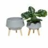 Set of 2 Contemporary Wood Bowl Planters - Olivia & May White -Cheap Planters Store unnamed file 6722