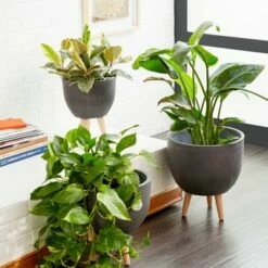 Set of 3 Round Planters with Wooden Legs - Olivia & May Black