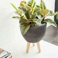 Set of 3 Round Planters with Wooden Legs - Olivia & May Black -Cheap Planters Store unnamed file 6747