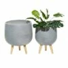 Set of 2 Contemporary Wood Oval Bowl Planters - Olivia & May White