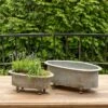Park Hill Collection Metal Oblong Centerpiece Planters