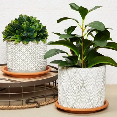 Farmlyn Creek 15 Pack Plastic Flower Pot Saucers, Drip Tray for Potted Plants, Round, Brown, 6" 3 Farmlyn Creek 15 Pack Plastic Flower Pot Saucers, Drip Tray for Potted Plants, Round, Brown, 6"