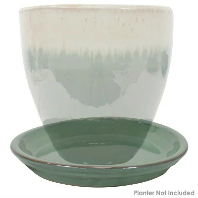 Sunnydaze Decor Sunnydaze High-Fired Glazed UV-Resistant and Frost-Resistant Ceramic Flower Pot Planter Saucers - 9" Diameter - Seafoam - 4-Pack 8 Sunnydaze Decor Sunnydaze High-Fired Glazed UV-Resistant and Frost-Resistant Ceramic Flower Pot Planter Saucers - 9" Diameter - Seafoam - 4-Pack - Image 6