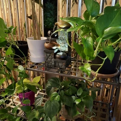 Sunnydaze Decor Sunnydaze Indoor/Outdoor Iron Metal 3-Tiered Potted Flower Plant Stand with Scrolled Back Design - 30" - Black 6 Sunnydaze Decor Sunnydaze Indoor/Outdoor Iron Metal 3-Tiered Potted Flower Plant Stand with Scrolled Back Design - 30" - Black - Image 4