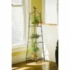 Branch Plant Stand - Gardener's Supply Company